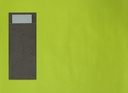 Placemats Kleur Lime - 30x40cm - 4x250st
