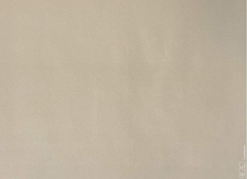 Placemats Kleur Zand - 30x40cm - 250st