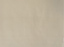 Placemats Kleur Zand - 30x40cm - 250st