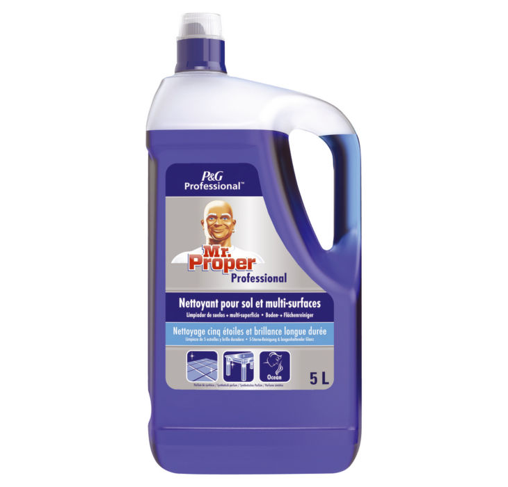 Mr. Proper Allesreiniger Oceaanfris - 5L