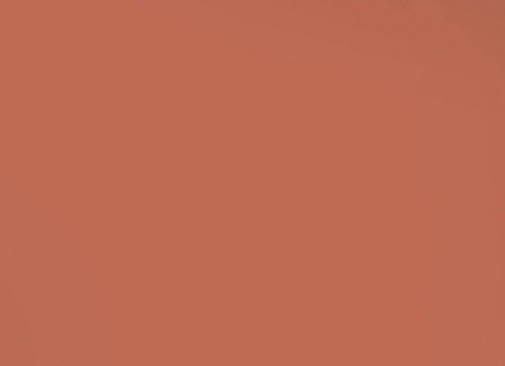 Placemats Kleur Terracotta - 30x42cm - 500st
