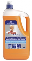 [AR00044] Mr. Proper Allesreiniger Citrus Fresh - 5L
