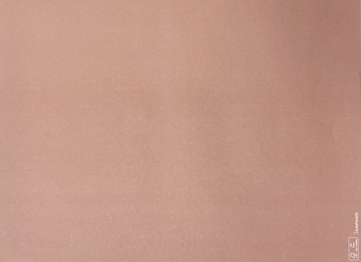 [AR02230] Placemats Kleur Rose - 30x40cm - 250st