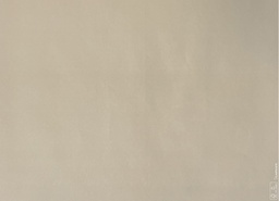 [AR04250] Placemats Kleur Zand - 30x40cm - 250st